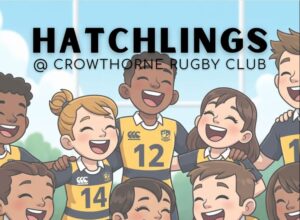 Read more about the article Hatchlings